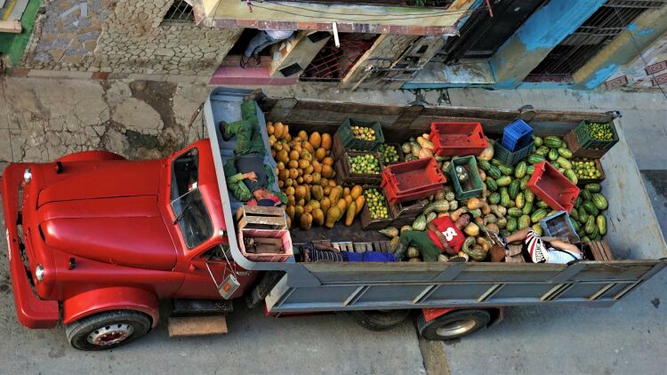 Ciężarówka z warzywami i owocami